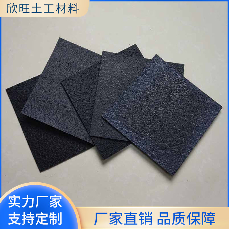 糙面防滑土工膜养殖防漏防渗人工湖工程土工膜加厚批发防水土工膜