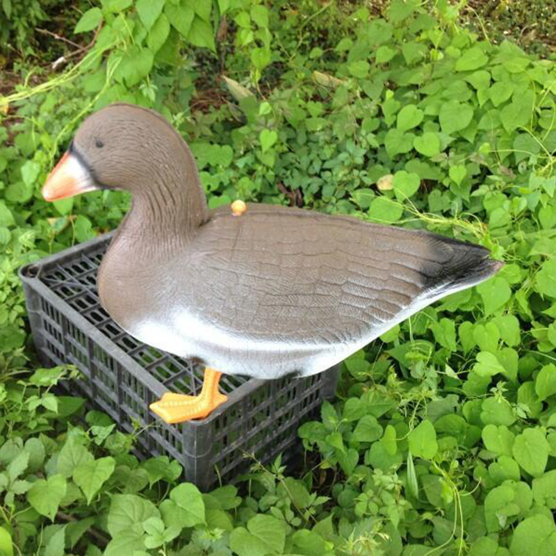 家禽餌カナダアメリカ七面鳥園林偽アヒル狩猟餌浮水鴨ロシアガチョウ|undefined