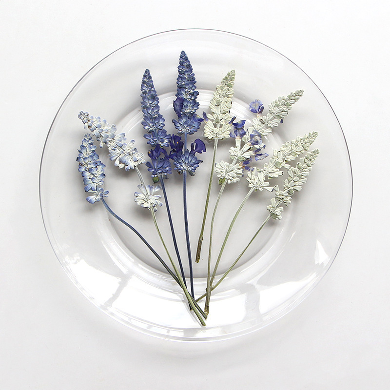 Sage Lavender Natural Dried Flowers Embossed Flower Material DIY Plant Specimen Glue Dried Flower Embossed Flower Wholesale