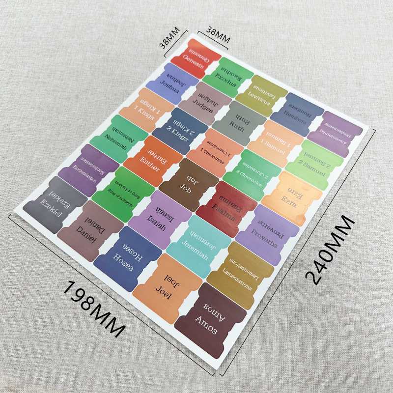 섹션 B(재고 있음)