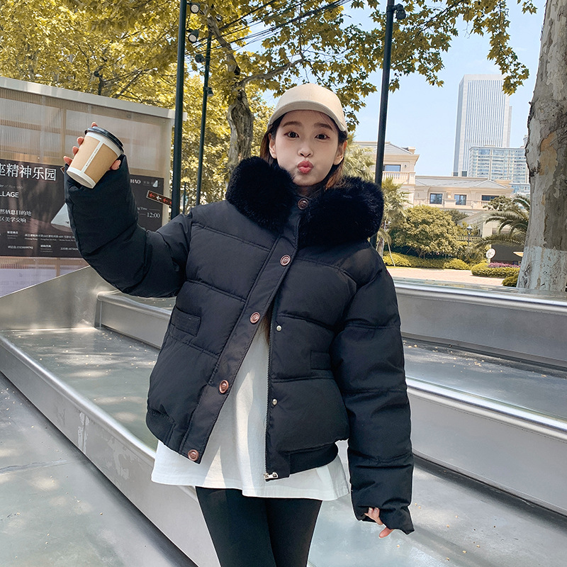 Invierno nuevo 2024 Corea del Sur Dongdaemun ropa de algodón de cuello grande mujer corto suelto ocio grueso chaqueta pequeña image 7
