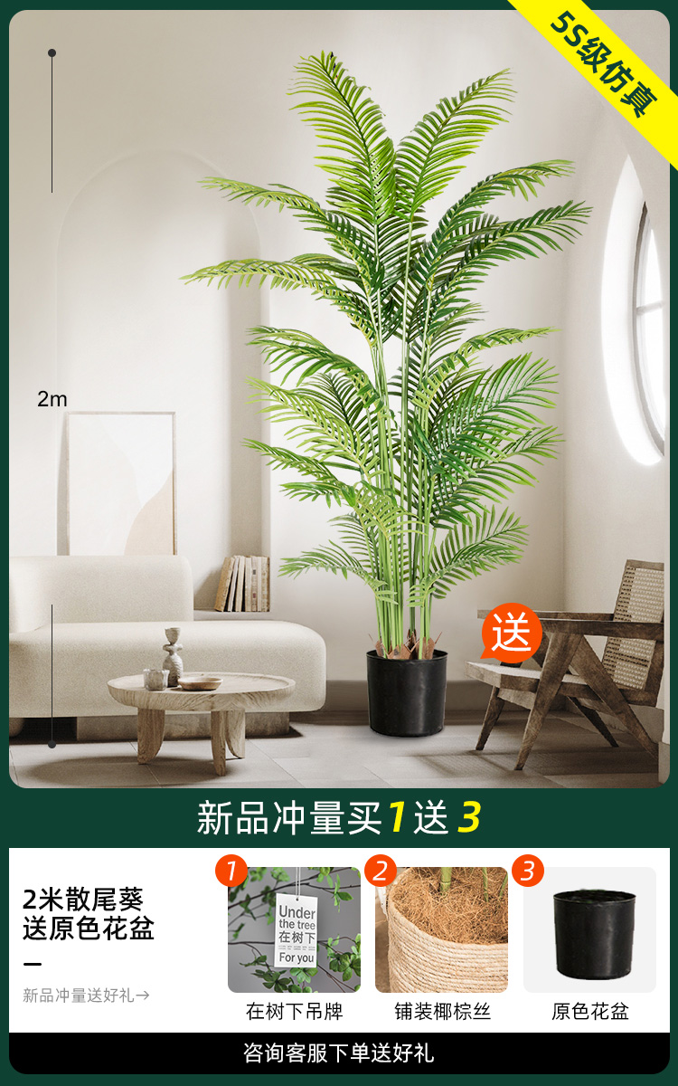 2 m 느슨한 말미잘 [원래 냄비 보내기]]