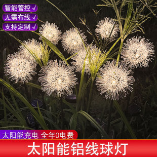 �S�ҹ���led̫����ѹ�Ӣ�ز�� ���⻨�@С�^�bՇ����X����