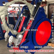 316LyF943X3-0.25C DN800늄ƗUäy늄ӷ۾y