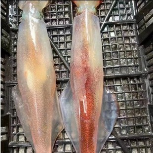 A18��������~С�����~���Ⲷ���~���r��������ӹP���~С��Ұ��