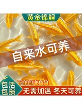 �S���\�����~�~���~���~���B�ͻ���ˮ�~�~��С���~�^�p�~����