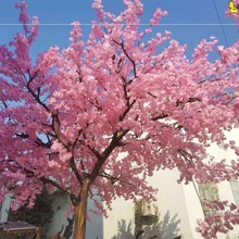 假树仿真树店铺樱花枝婚庆樱花树梨花桃花假花绢花客厅吊顶装饰