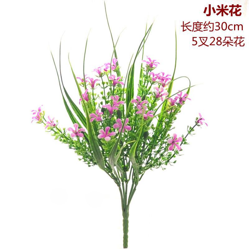 보라색 붉은 기장 꽃