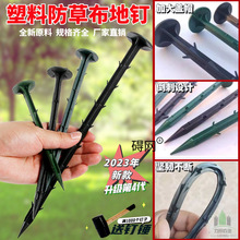 ���ݲ���ᔳ��ݲ����������֦��Ĥ�̶���Ƥu�Ͷ����̈@ˇ�ز��