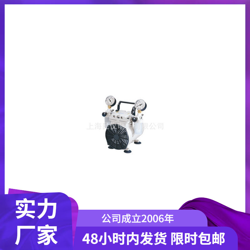 美国Welch 2522C-02干式WOB-L活塞泵