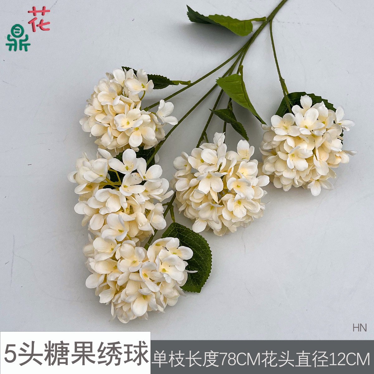 5송이 캔디 수국 HN 샴페인 색상 잎 없음