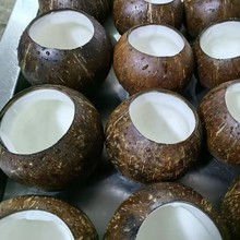 少量批发开口椰皇椰皇碗椰壳炖盅规格38-42公分海南文昌椰子包邮