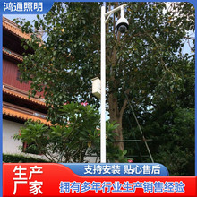 热镀锌八角监控立杆6米7米8米5米抓拍监控杆道路卡口立柱信号灯杆