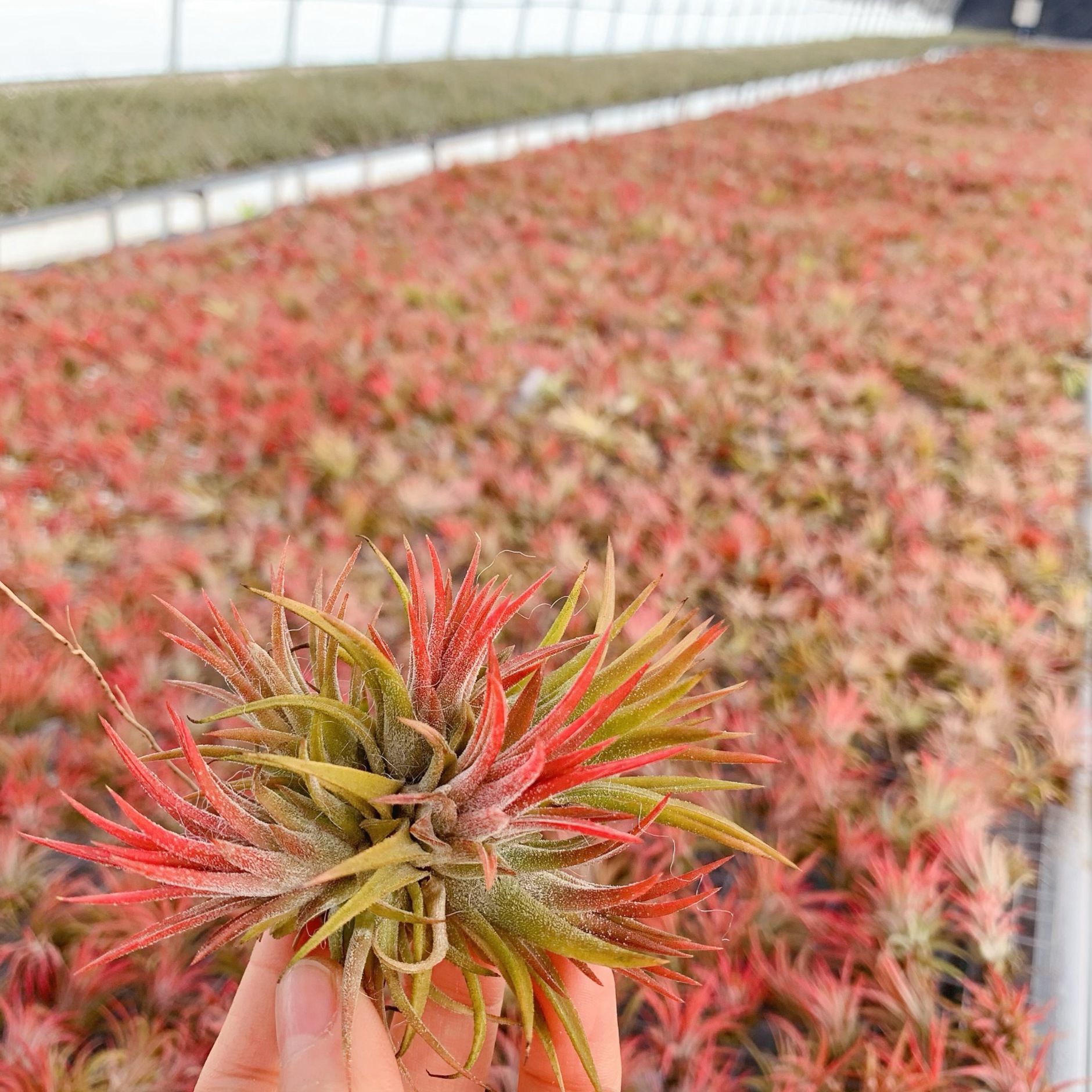 微信图片_20240411134708