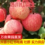 洛川陕西送礼新鲜冰糖