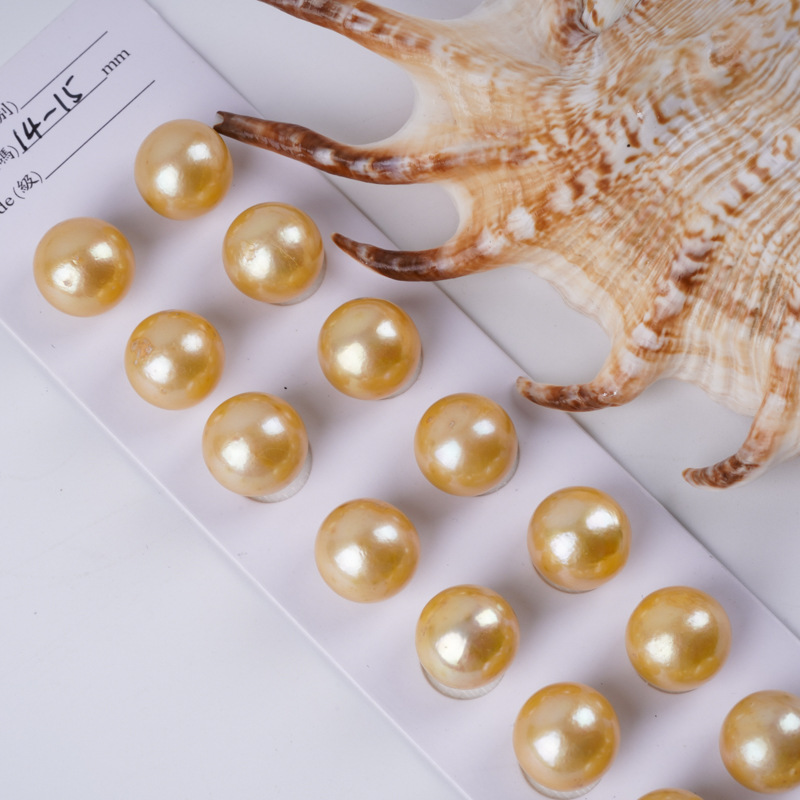 DSC01613