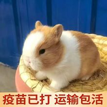 С���ӻ���٪�����L��������С�͹������m�����ò豭�ü��B������