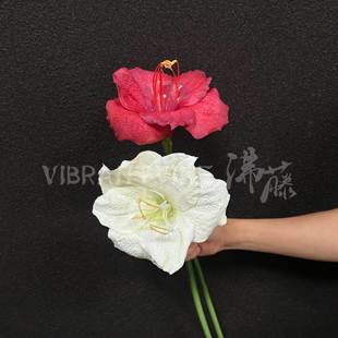 ��피t���滨ܛ�z�����m�ָб���ٻ��Ҿ�ܛ�b�廨��c�Ĕz����