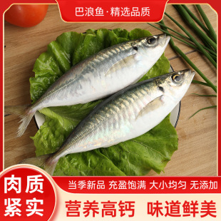 �|ɽ�uҰ�������~���l�����~���v�~���rˮ�a���þƵ�������~