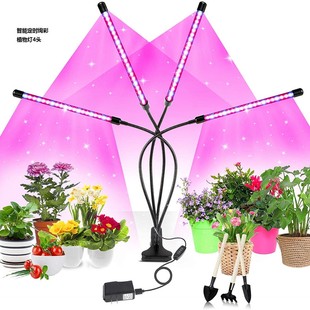 ���R�d��׼���r�t�{80��4�^�A��ܛ��ֲ���led���L���Ĺ��a���