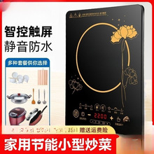 电磁炉家用智能多功能一体爆炒火锅小型宿舍节能电池炉套装