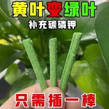 植物营养棒绿植盆栽家用种花养花通用型植物花卉多肉长效缓释肥料