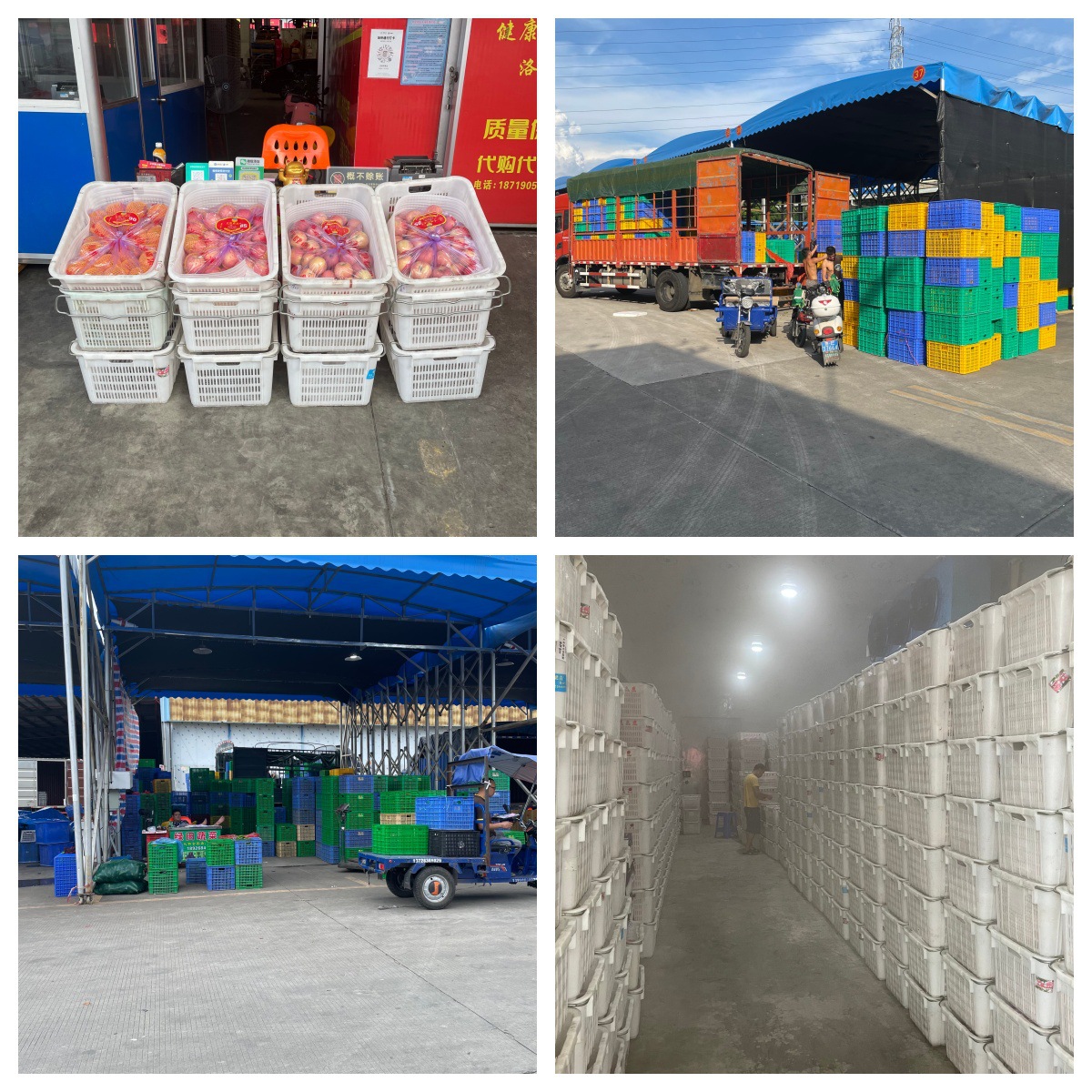 Refrigeración fresca gruesa, transporte de rotación, cesto de plástico con agujeros, cesto de plástico rectangular, recolección de cesto de plástico image 3