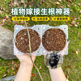 ֲ��߉��޽Ӻз�ֳ���������ظ���������Ǥ�����米֦�@ˇ�ּӺ�