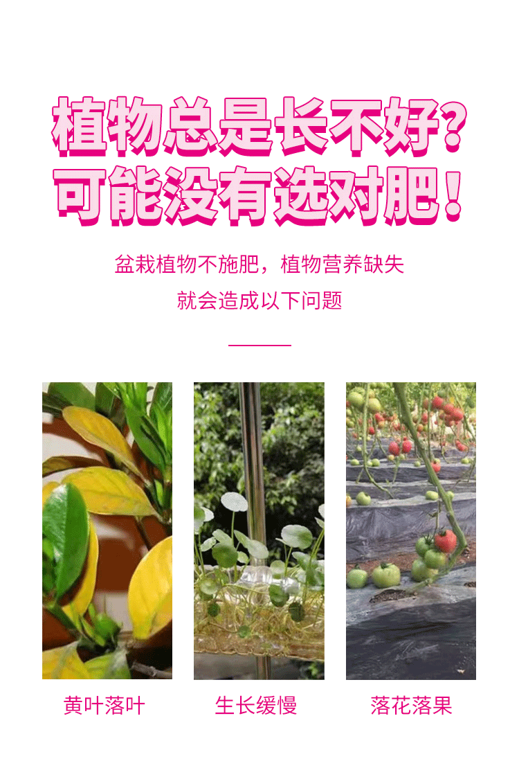 详情切片_03.gif