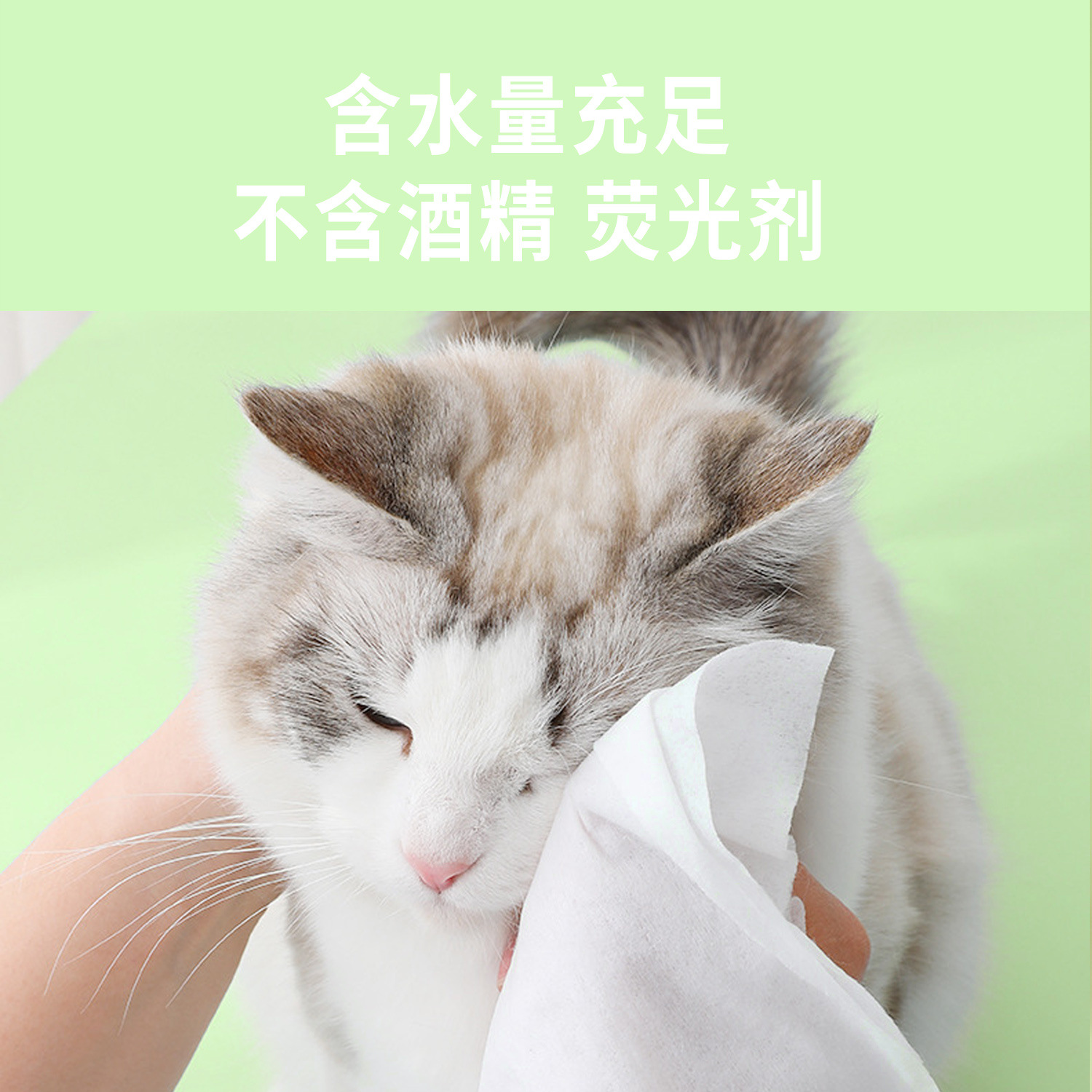 Toallitas húmedas para mascotas, paquete extragrande de 80 hojas, venta al por mayor en existencia, universales para gatos y perros, toallitas húmedas de limpieza desodorizantes sin enjuague, agrandadas y engrosadas.