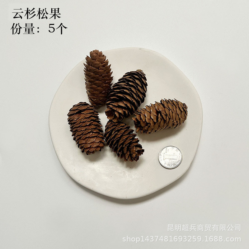 【各种果实类干花】圣诞果实类装饰品干花干果香薰蜡烛DIY橡果精|undefined