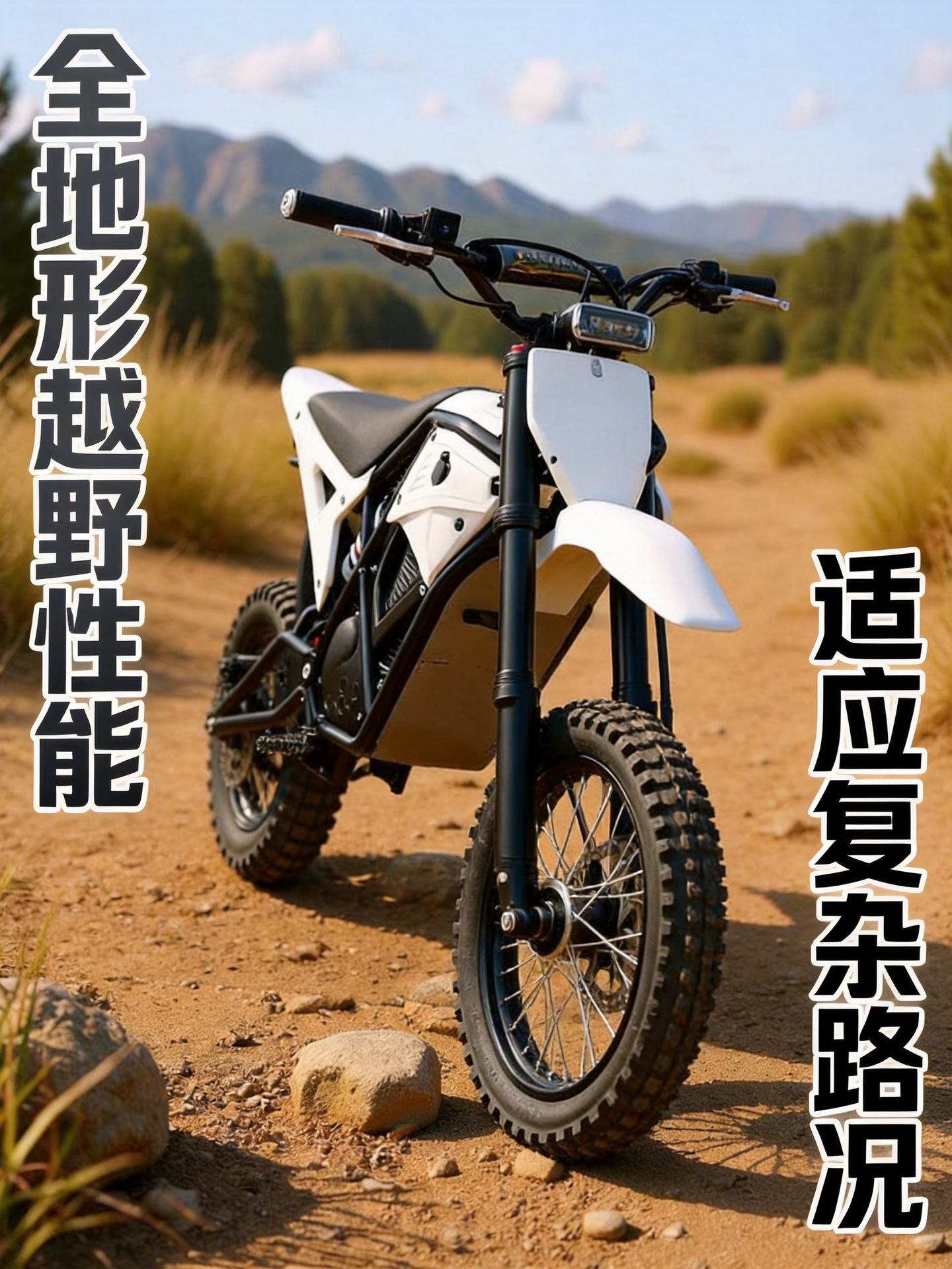 Off-road mountain electric motorcycle SS8.0EM5 48V lithium battery with a range of 60km, suitable for both men and women