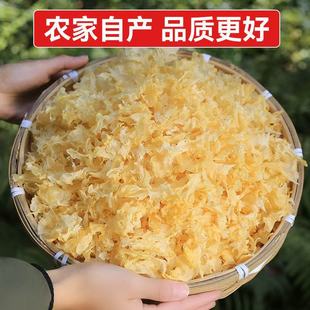 ����؛���y����Ƀ��׳��z�����y����ƬܛŴ����ɏ���y����