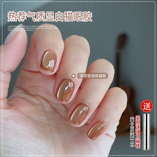 ��貣���龧ʯ؈��ָ�����z2026���¿�С���ݱ�͸ɫϵ���׵ꌣ��