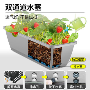 �L�������ϻ���ݮ�Nֲ���ͥ�N�����̨�N�����L�l��