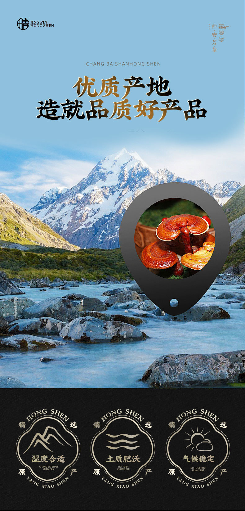 Reishi Mushroom Slices (Ganoderma lucidum) — Dried Ling Zhi Slices for Tea & Wine Soaking overview
