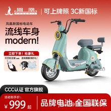 凤凰新国标电动车蓝优电动自行车可上牌线下实体同款电动自行车