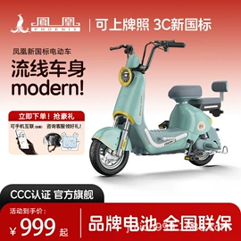 电动自行车;电动三轮车;其他电动车