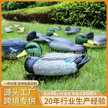 �������]���������T�Dģ�͈@�־��^�������ӑ���ͥԺ�@���b[��