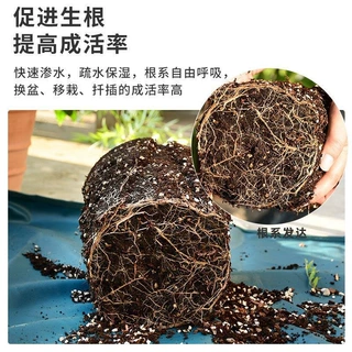 泥炭疏松养花种菜绿植法师三角梅天竺葵通用型土壤蓝莓瓶装批发