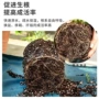 养花瓶装疏松通用型蓝莓