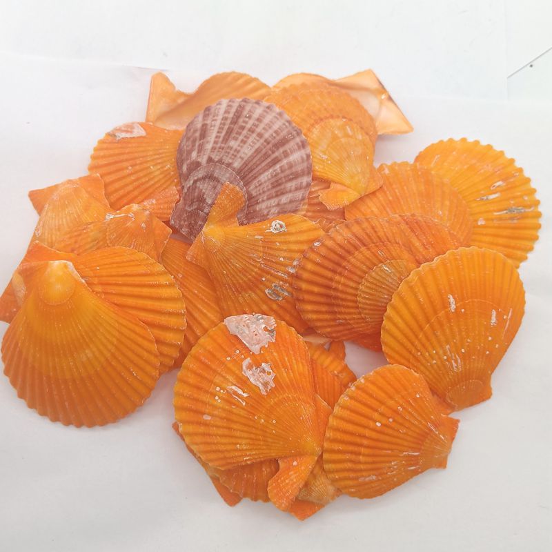 微信图片_20240716164713_副本