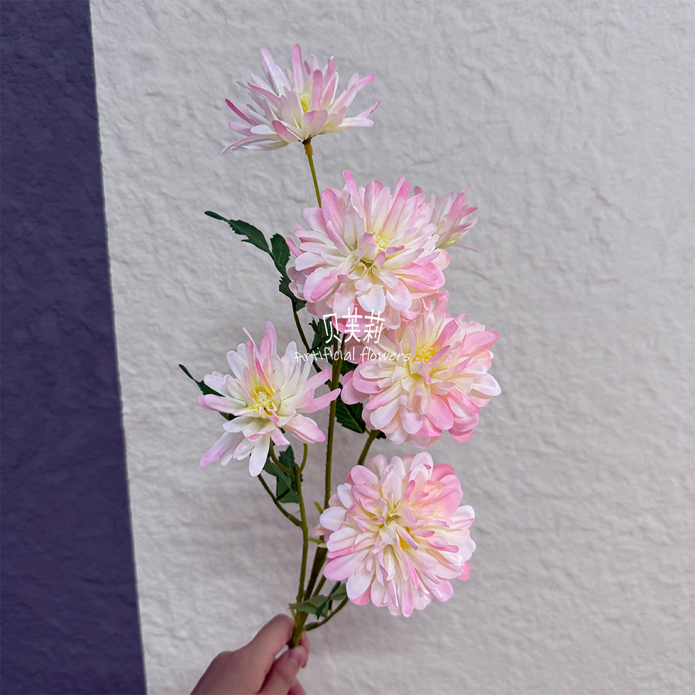 화려한 모란 6개 - 라이트 핑크