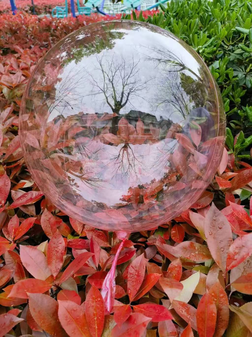 微信图片_20250428095511