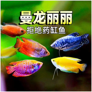 �{�����~���S����Ѫ��������߲��~�z���~�^�p�~�ᎧС���~��ˮ