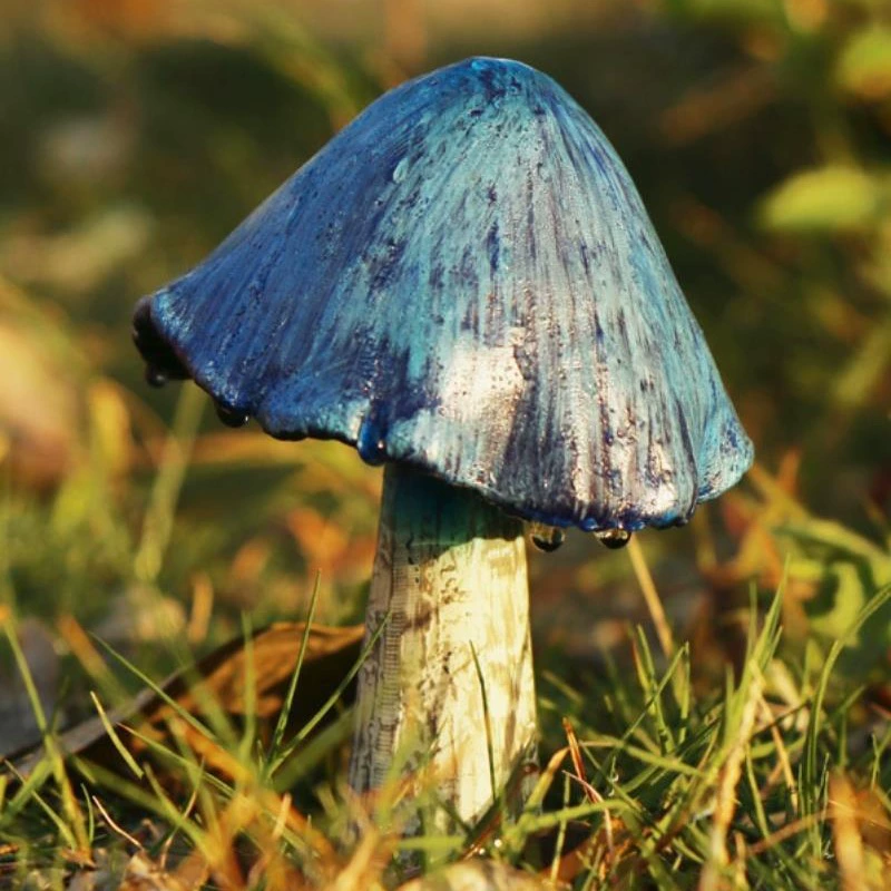 Моделирование грибов микропейзаж аксессуары Весенняя рока украшения бонсай DIY Весенняя посадка сад украшение двора