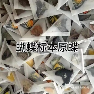 �P��͐��չ���ֹ�diy���Ͼ���ԭ�x�����x�˱�δ�����˱�����ԭ��