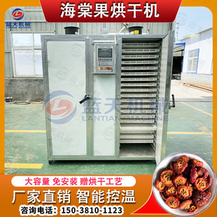 ���⺣�Ĺ���əC 늼ӟ�С�ͺ��Ĺ���Ƭ����� ���t���ɺ���O��