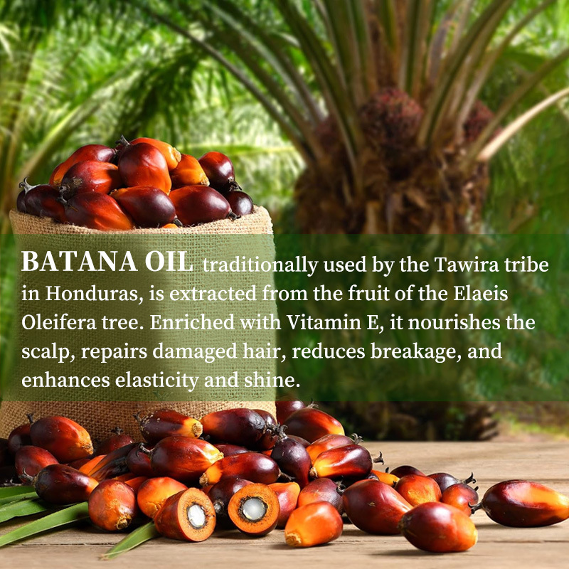 Mascarilla Capilar Reparadora de Batana Hidratante Nutritivo para Cuidado del Cabello image 3