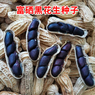 ������ɫ�����N�ݴ����߮a�������|�����t�ش�N���ю����˷N����